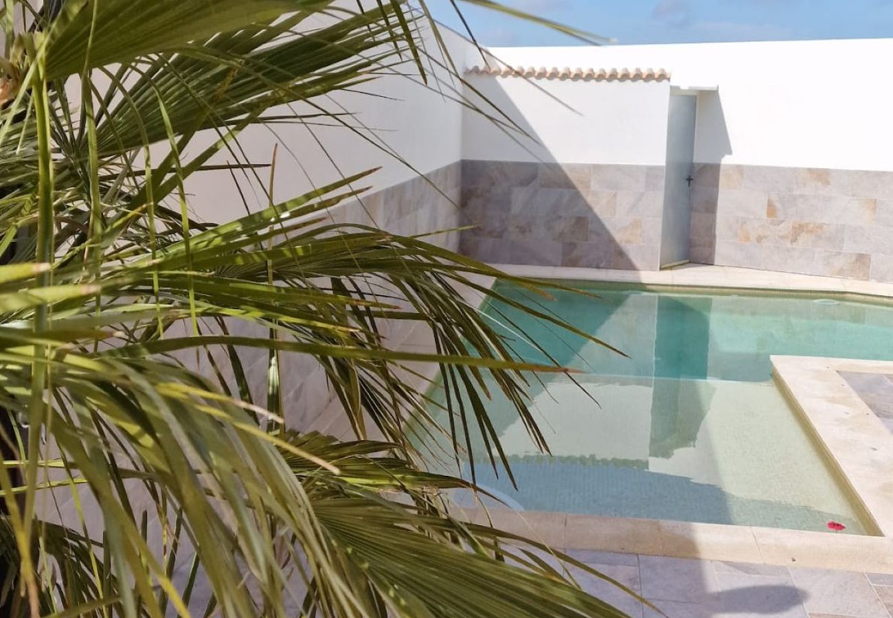 Cottage in Cobisa - Flor de la Jara – A Home with Soul in a Unique Natural Setting