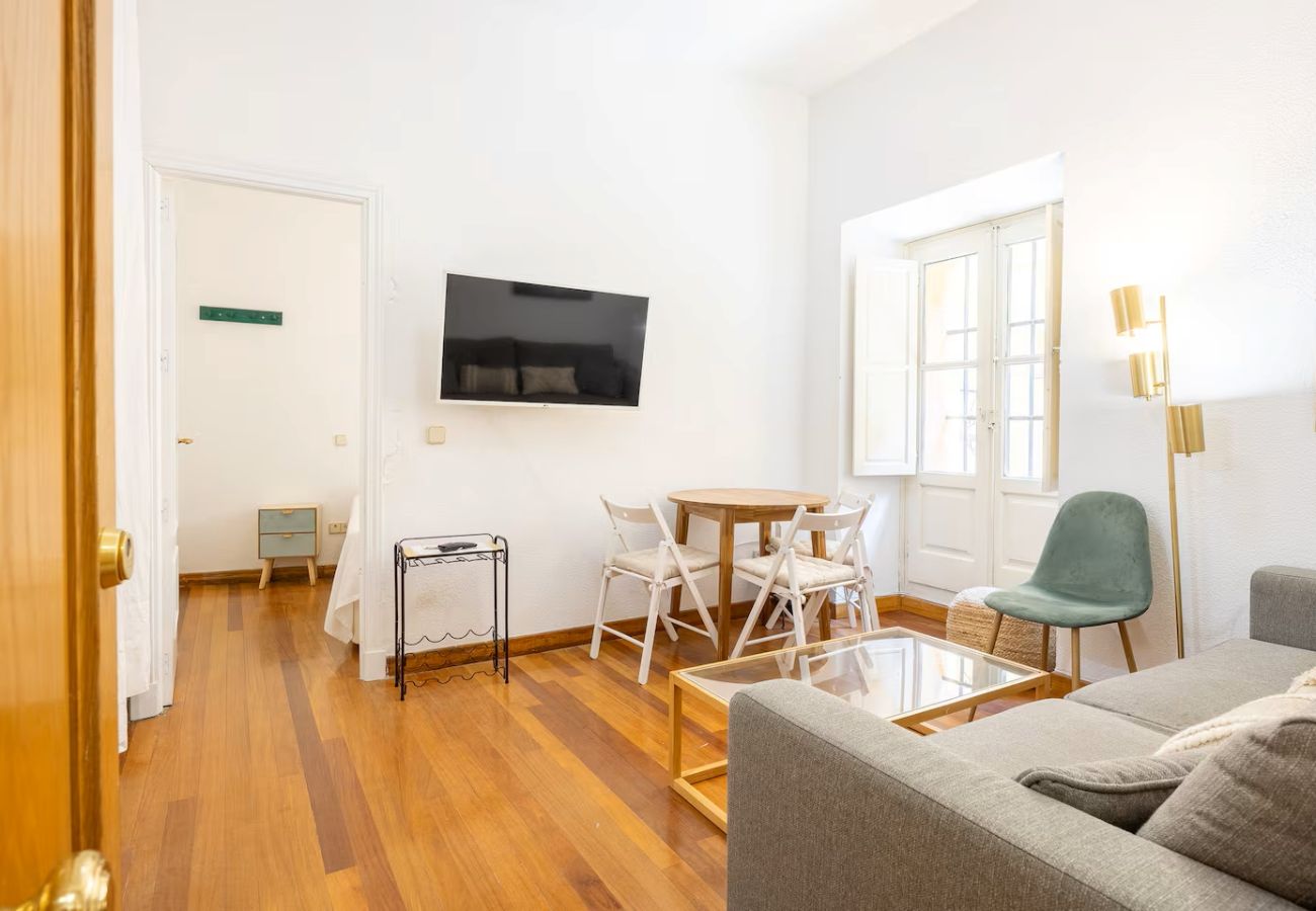 Apartment in Madrid - Cozy Apartment in La Latina – Perfect for Work or Study