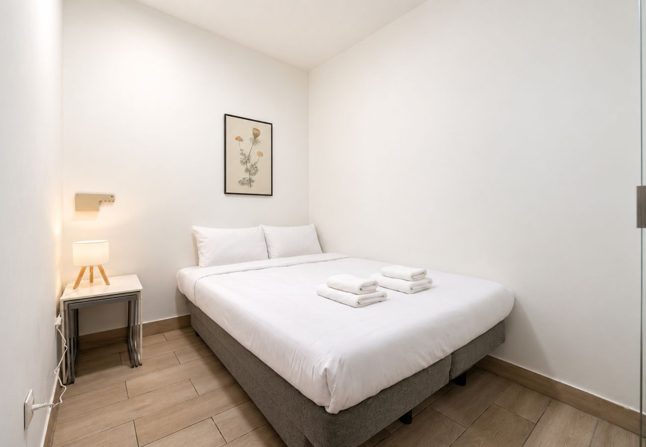 Apartment in Madrid - Moncloa I